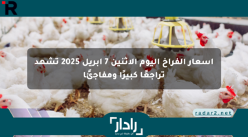 أسعار الفراخ اليوم الاثنين 7 أبريل 2025 تشهد تراجعًا كبيرًا ومفاجئًا
